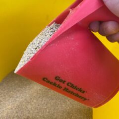 Cackle Hatchery®'s Red Plastic Feed Scoop
