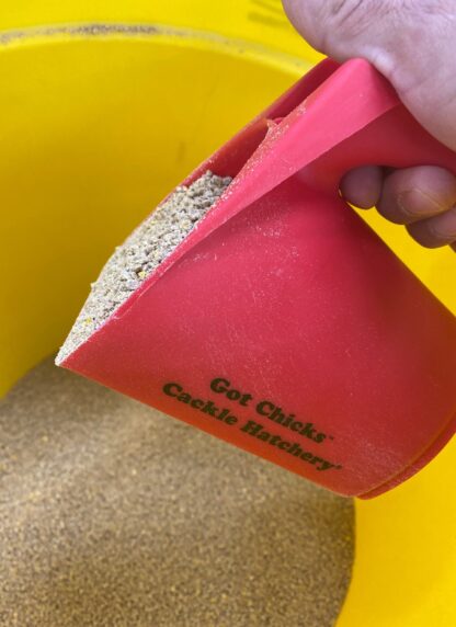 Cackle Hatchery®'s Red Plastic Feed Scoop