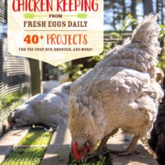 DIY Chicken Keeping from Fresh Eggs Daily