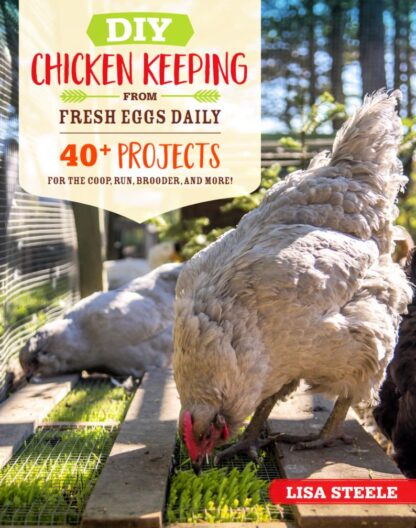 DIY Chicken Keeping from Fresh Eggs Daily