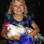 Prize Show Chicken