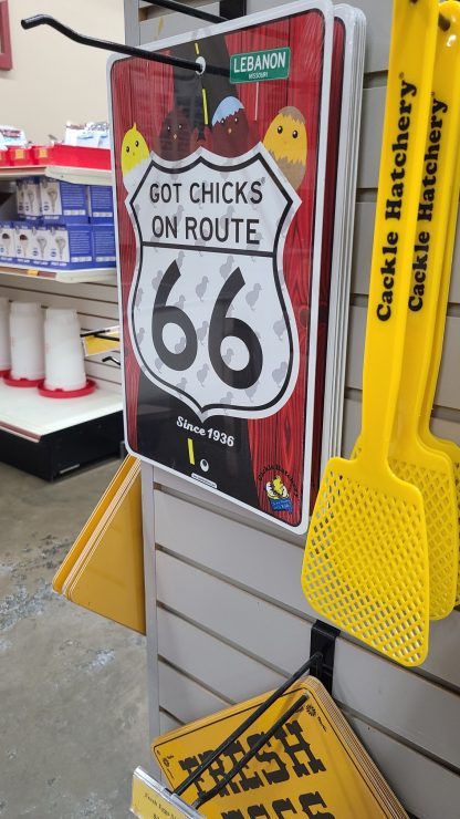 Got Chicks® on Route 66 Sign