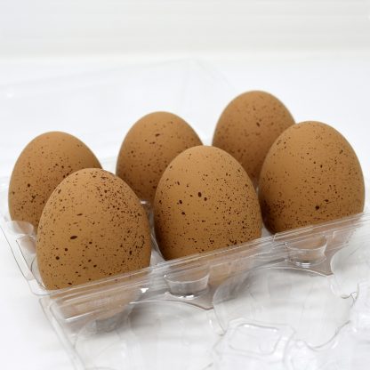 Speckled Egger®Hatching Eggs
