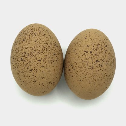 Speckled Egger™ Ceramic Nest Eggs