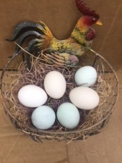 Assorted Bantam Fertile Hatching Eggs