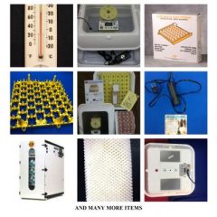 Incubators for Sale
