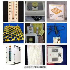 Incubators for Sale