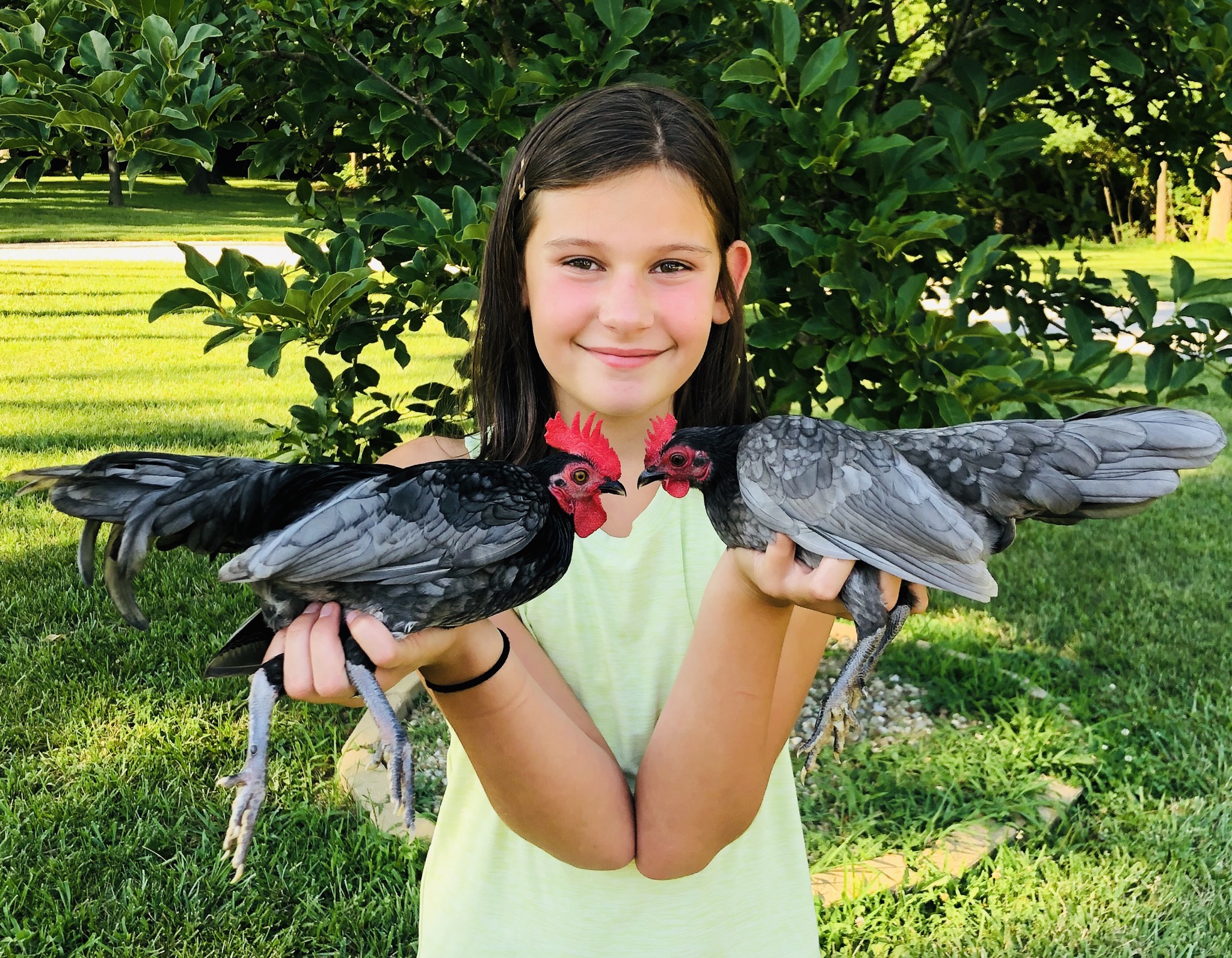 girl holding two chickens