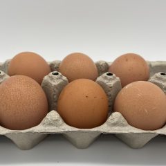 Brown Egger™ Fertile Hatching Eggs