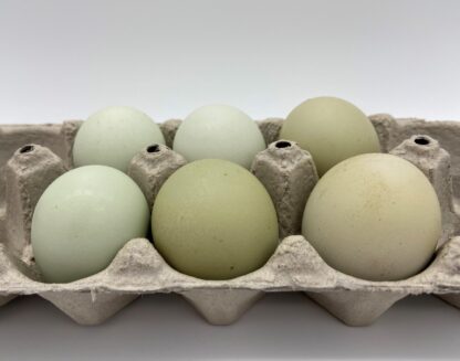Green® Hatching Eggs