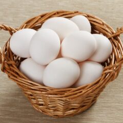 White Egger® Hatching Eggs