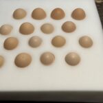 Ayam Ketawa Hatching Eggs