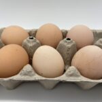 Lavender Orpington eggs