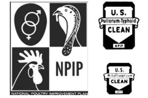What is NPIP? National Poultry Improvement Plan - Cackle Hatchery