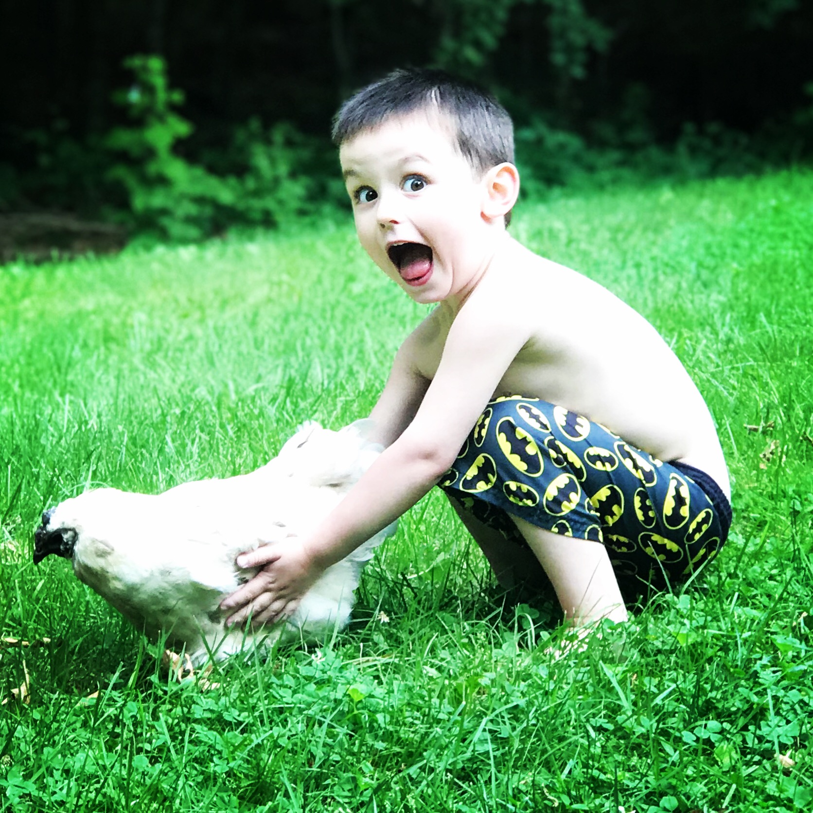 2021 Cackle Hatchery Photo Contest Winners and Runner Ups Cackle Hatchery