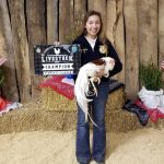 Yoko ribbon winning chicken livestock champion