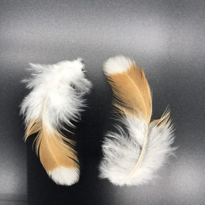 Chamois Spitzhauben feathers