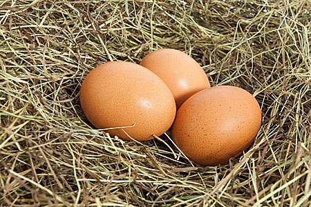 brown eggs in nest