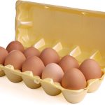 egg carton