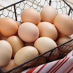 eggs in wire basket