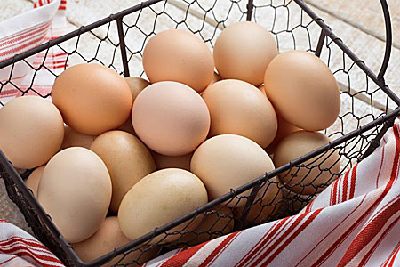 eggs in wire basket