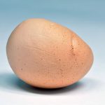 Misshapen Chicken Egg