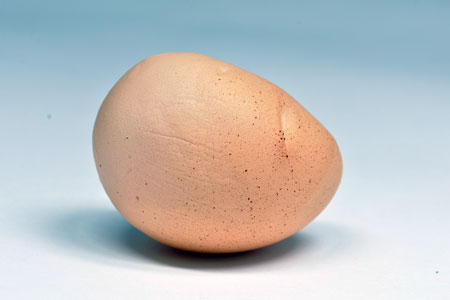 Misshapen Chicken Egg