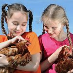 two young girls each holding a chicken