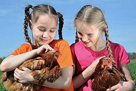 two young girls each holding a chicken