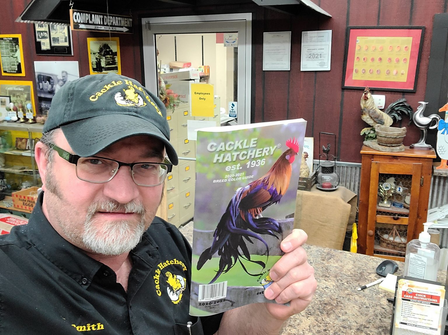 Chicken Breed Selector Cackle Hatchery