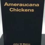 Ameraucana Chickens