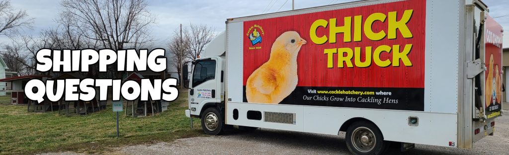 Why Did the Chicken Cross the Road? - Cackle Hatchery