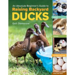 An Absolute Beginner's Guide to Raising Backyard Ducks : Breeds, Feeding, Housing and Care, Eggs and Meat