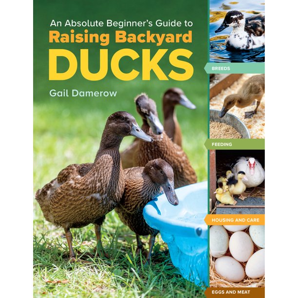 The Secrets of Duck Eggs - Backyard Poultry