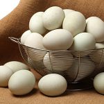basket of duck eggs