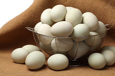 basket of duck eggs