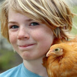 A young man holds a bantam chicken