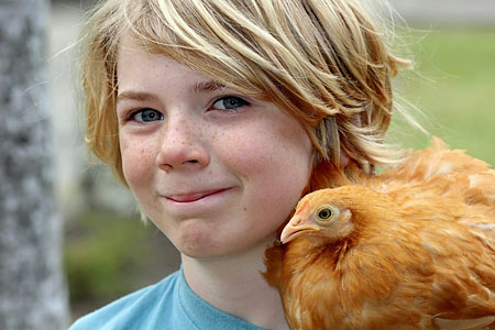 A young man holds a bantam chicken