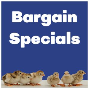 Bargain Specials