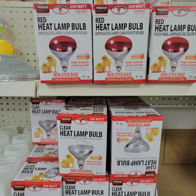 Heat Lamp Bulbs