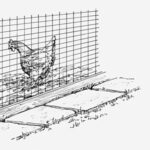 A drawing of a chicken behind a fence held up by paving stones