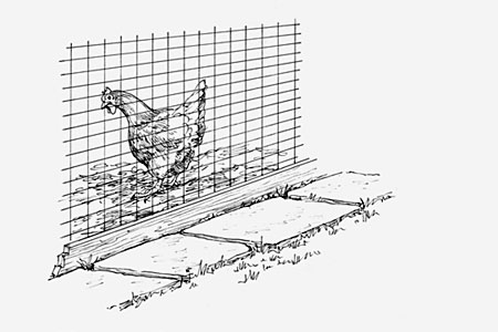 A drawing of a chicken behind a fence held up by paving stones