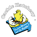 Cackle Hatchery