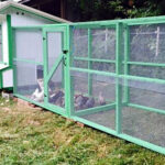 A chicken coop in a backyard