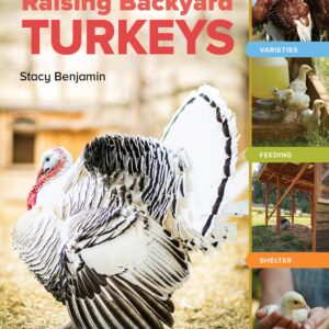 An Absolute Beginners Guide to Raising Backyard Turkeys