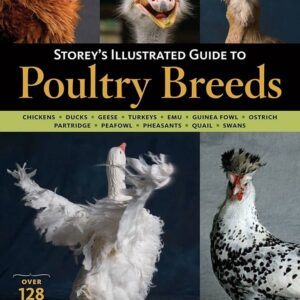 Illustrated Guide to Poultry Breeds