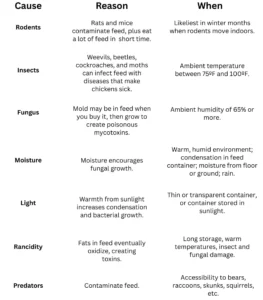 Causes of Chicken Feed Spoilage
