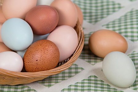 Chicken Eggs in Basket