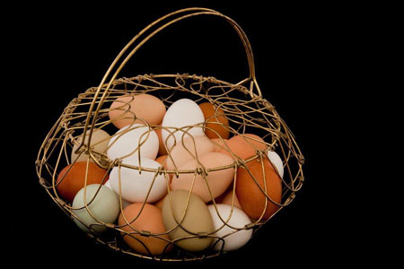basket of chicken eggs