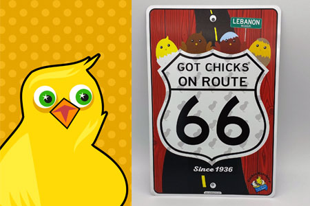 chicks on Route 66 graphic